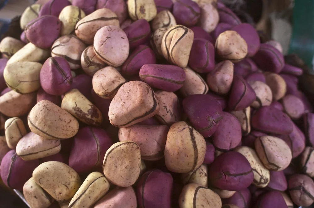 Agriculture News